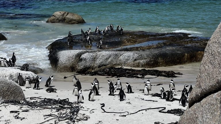 naturaleza en África